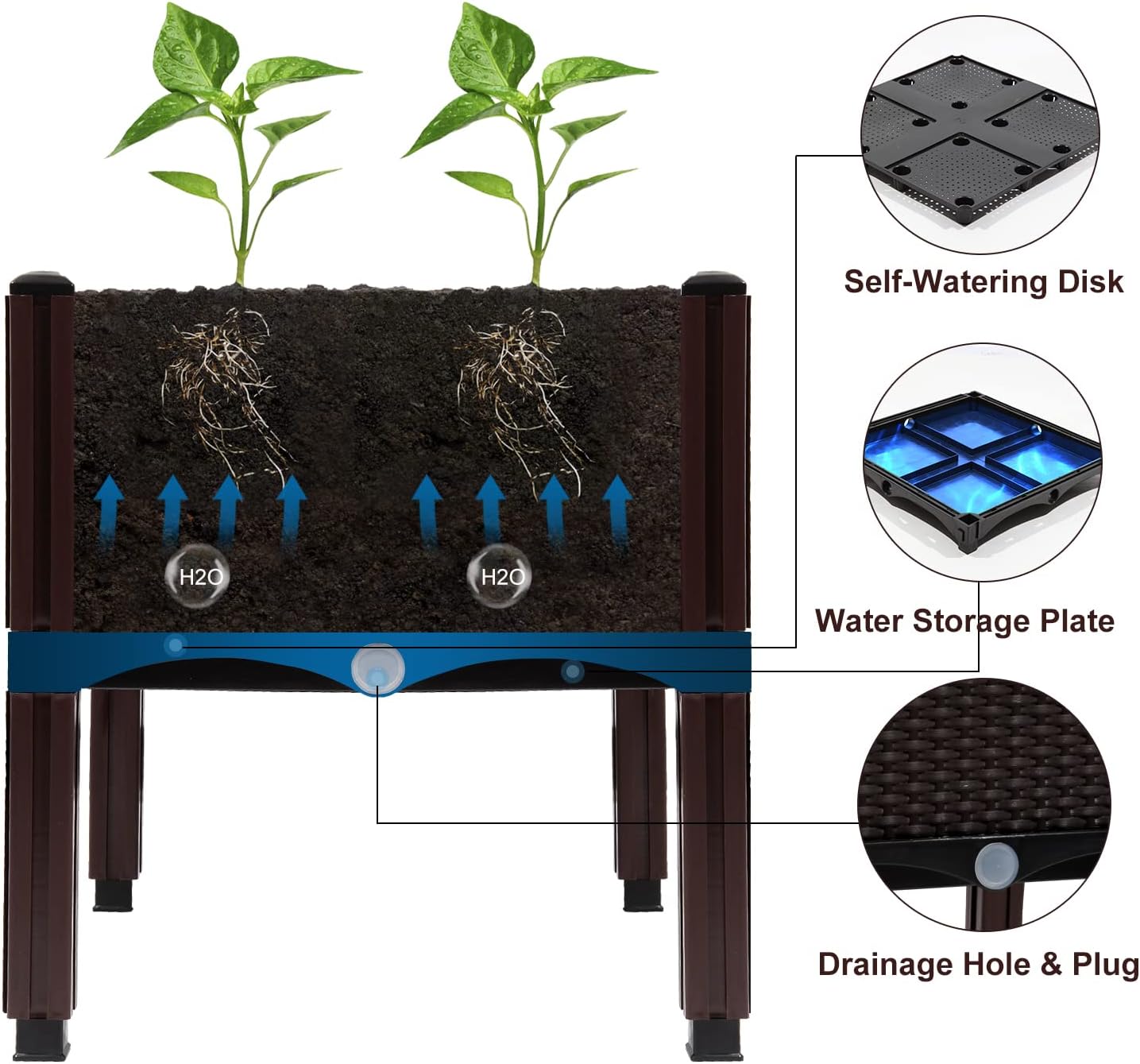 Raised flower beds
