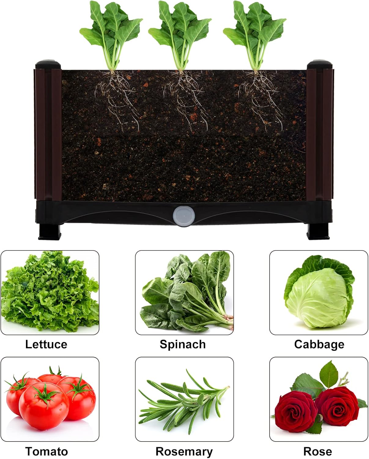Raised flower beds